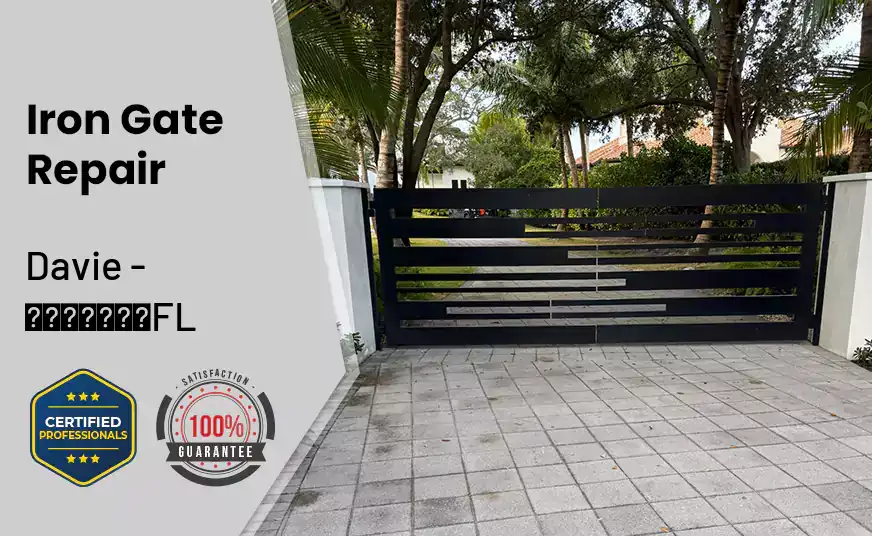 Iron Gate Repair Davie - FL 