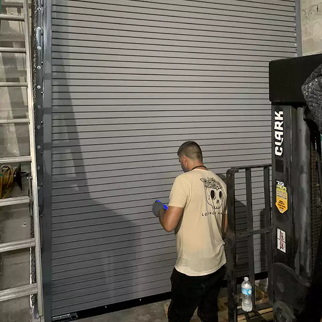 Expert Genie Garage Door Repair in Davie, FL